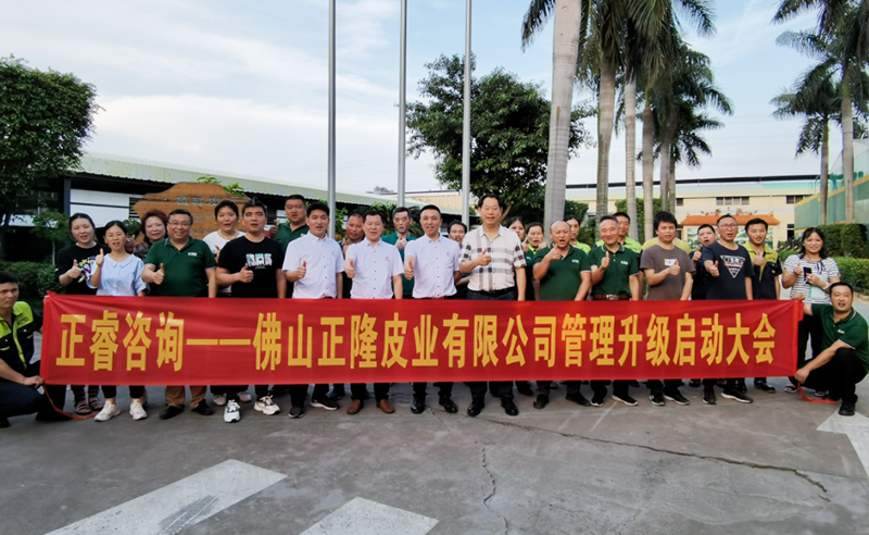 助力皮革行業(yè)再樹(shù)標(biāo)桿——正隆皮業(yè)全面管理升級(jí)項(xiàng)目啟動(dòng)！