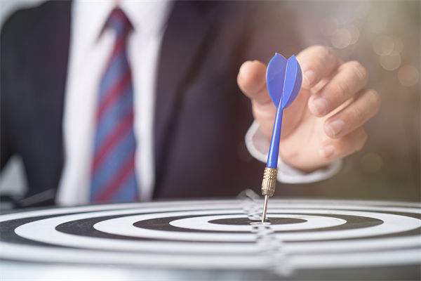 如何構建高效的集團管控體系，驅動企業(yè)穩(wěn)健前行？