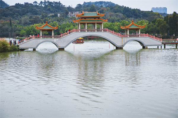 肇慶戰(zhàn)略咨詢公司如何助力企業(yè)分析市場(chǎng)趨勢(shì)與機(jī)遇？