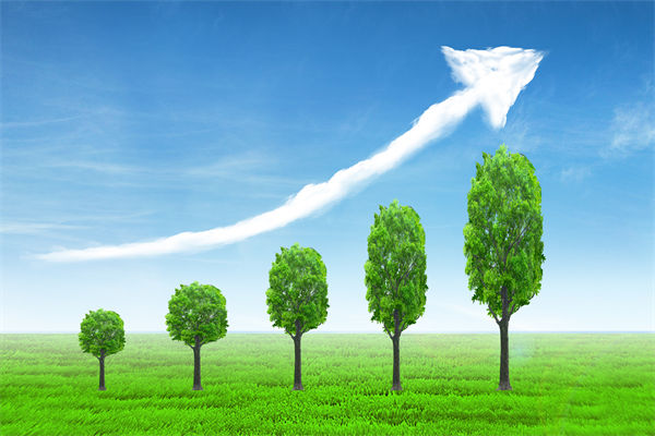 植樹就是植未來，對企業(yè)的戰(zhàn)略規(guī)劃有哪些啟示？