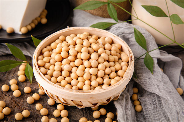 從績(jī)效管理角度分析：中國買巴西大豆讓美國農(nóng)民慌了