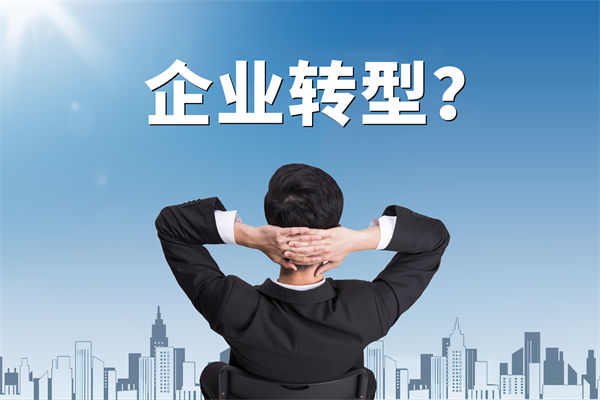 企業(yè)轉(zhuǎn)型無(wú)方向，數(shù)智化咨詢公司能否指引明路？
