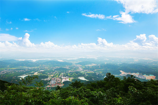 企業(yè)戰(zhàn)略飄在半空落地難，惠州戰(zhàn)略咨詢公司能錨定方向嗎？