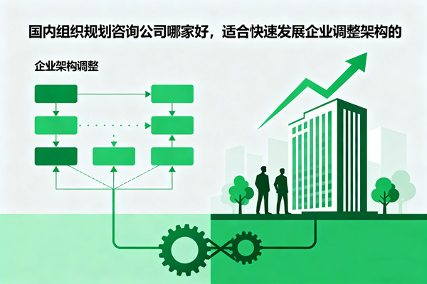 國內(nèi)組織規(guī)劃咨詢公司哪家好，適合快速發(fā)展企業(yè)調(diào)整架構(gòu)的