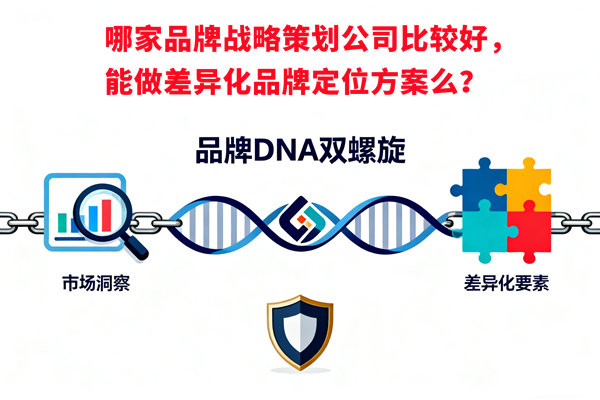 哪家品牌戰(zhàn)略策劃公司比較好，能做差異化品牌定位方案么？