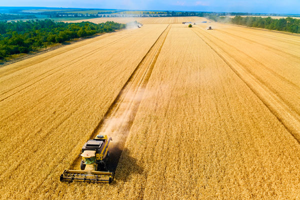 農(nóng)業(yè)行業(yè)供應(yīng)鏈管理咨詢公司推薦，能解農(nóng)資采購成本高問題嗎？