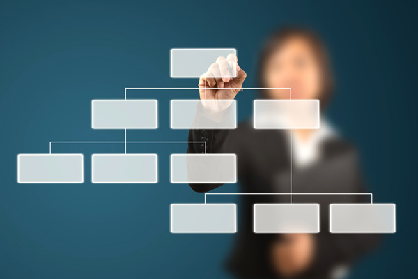 哪家組織規(guī)劃咨詢公司落地最好，能搭建適配發(fā)展的組織體系？